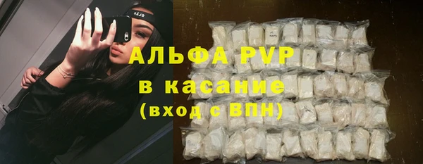 амф Елабуга